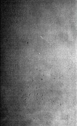 Drakonhail : Grisailles ...